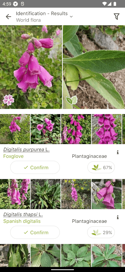 PlantNet Plant Identification  Screenshots