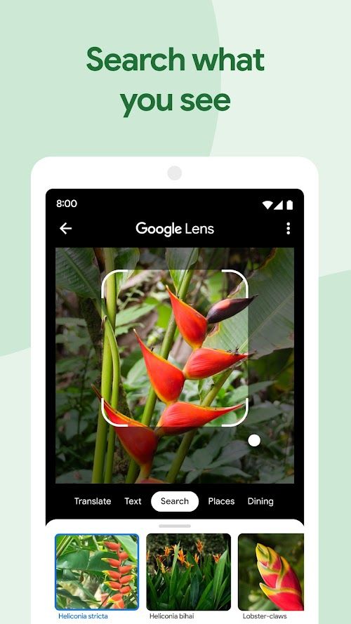 Google Photos  Screenshots