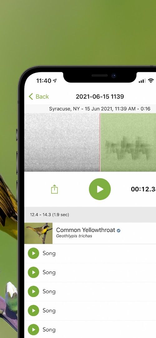 Merlin Bird ID by Cornell Lab  Screenshots